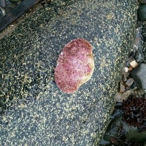 Meet your Posher, Jen